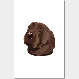 Chocolate Lab Posters and Art